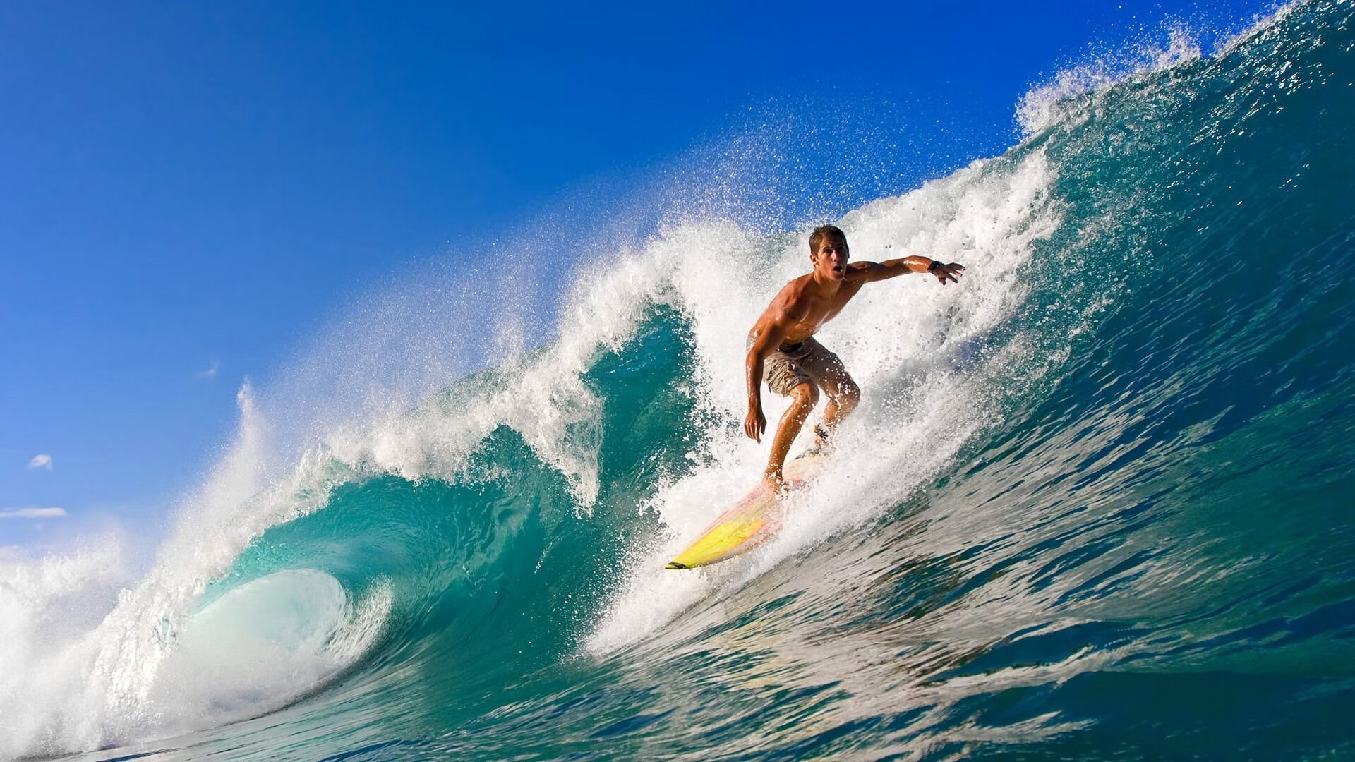 九游网页版官网入口-王宗源赛场表现赢得观众喝彩，王宗源参加哪些项目